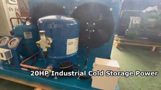 Cold Room Condensing Unit with Danfoss MT80HP4CVE Compressor