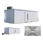 20 Cubic Cold Storage Parts Low Temperature Blast Freezer Cold Room With Insulation Panel