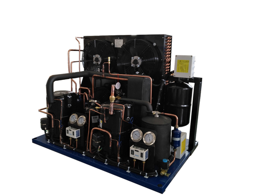 TAG2522ZBR Commercial Condensing Units R404 Refrigerant Cold Storage Compressor Condensing Units