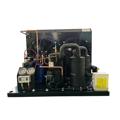 TAG2516Z Tecumseh Compressor Refrigeration Unit Freezer Unit R404a Condensing Unit For Walk In Freezer Room