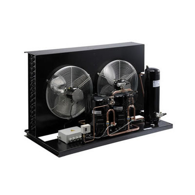 TAG2522ZBR Commercial 6HP Refrigeration Unit Air Cooled R404 Refrigerant Cold Storage Condensing Units