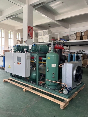 KBD1-125 Cold Room Refrigeration Unit with HSN8571-125 Screw Compressor