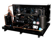CA-0500 Air Cooled Condensing Unit Compact Structure Stable Operation Low Vibration