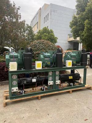 10HP Three System Water Cooled Condensing Unit with 380V/3Ph/50Hz and 1 Year Warranty