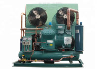 Stationary Cold Storage Compressor Piston Type AC Power One Year Warranty