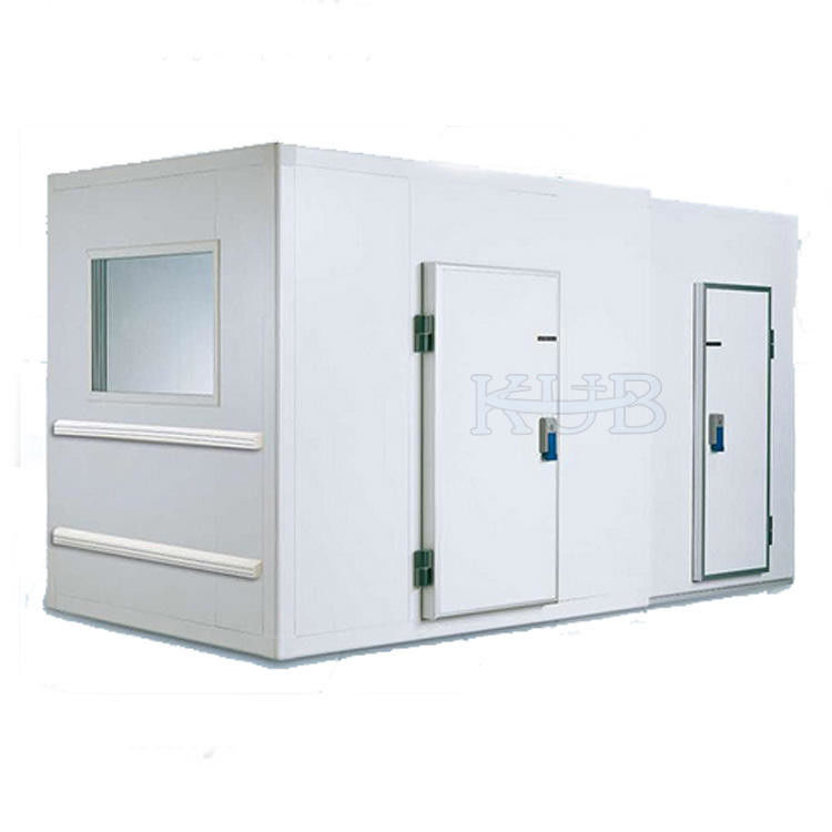 20 Cubic Cold Storage Parts Low Temperature Blast Freezer Cold Room With Insulation Panel