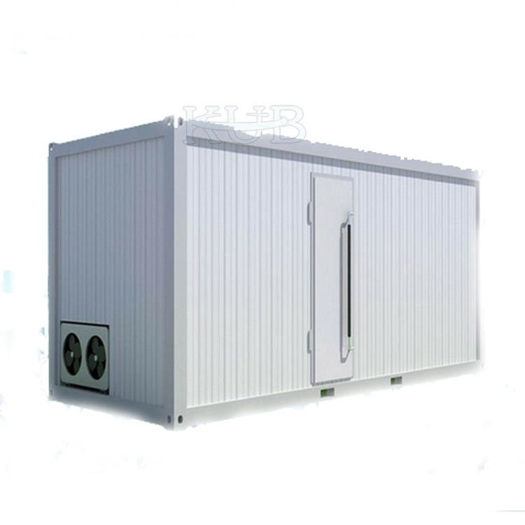 20 Cubic Cold Storage Parts Low Temperature Blast Freezer Cold Room With Insulation Panel