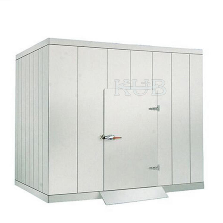 20 Cubic Cold Storage Parts Low Temperature Blast Freezer Cold Room With Insulation Panel
