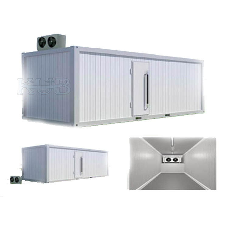 0 - 5 Degrees Celsius Cold Storage  PU Panels Room cold storage panel Hinger Swing Door 220V