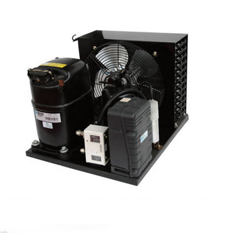 CAJ2446ZBR Tecumseh Compressor 1 Hp Condensing Unit 220V Ac Condenser Unit R404A Freezer Condensing Units