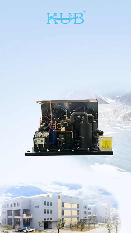 TAG2516Z Tecumseh Compressor Refrigeration Unit Freezer Unit R404a Condensing Unit For Walk In Freezer Room