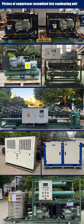 2HP to 50HP Made in China Support customized cheap cold storage refrigeration compressor Semi-hermetic piston compressor，cold storage compressor，cold storage system，industrial cold storage