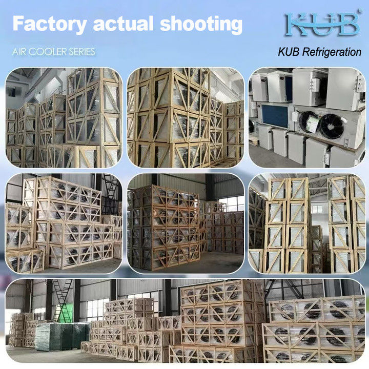 DJ series DJ100 single unit cooler CE certified cold storage dedicated air cooler evaporator ceiling evaporator refrigeration equipment manufacturer,refrigeration factory, refrigerated cold storage