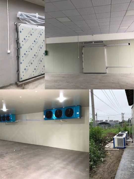 10m³ Cold Storage House Sold Separately Cold Storage Curtains Fan Shelves -18℃ Cold Storage Facilities Chamber