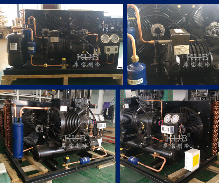 BFS51 Reliable Cold Room Semi-hermetic Compressor Condensing Unit Cold Storage Refrigeration Unit Easy to Operate