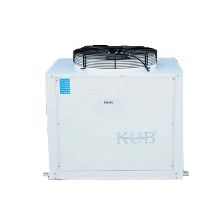 KUB DL-55 SLDL40 High Quality CE Certificated Reliable 4HP Both Sides Wind Out air Cooling Machine air Cooler Made in China