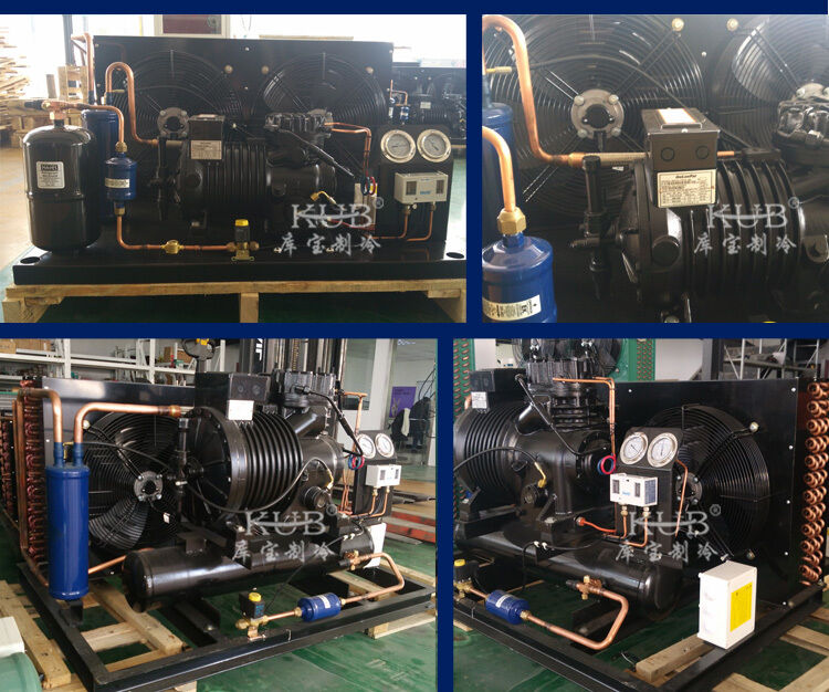 BFS81 Reliable Cold Room Semi-hermetic Compressor Condensing Unit Cold Storage Refrigeration Unit Easy to Operate