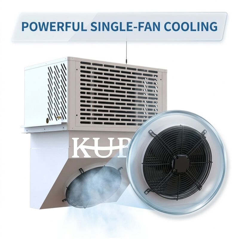 IP65 Outdoor Weatherproof Small Condensing Unit 3HP Hermetic Scroll R404A Rainproof Housing Cold Room Installation