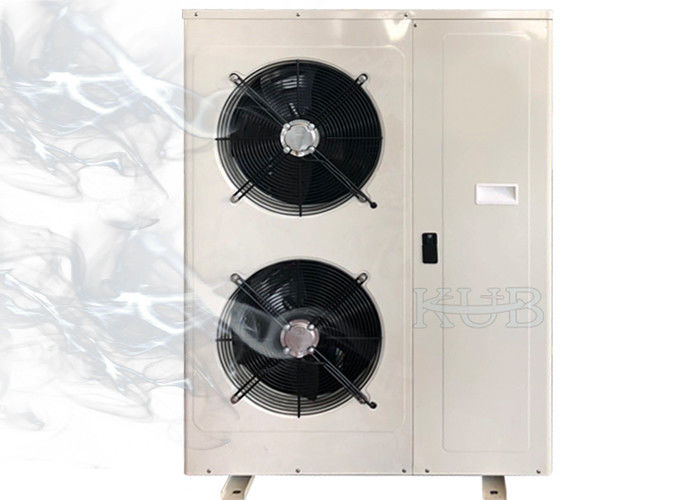 Kub300 Zsi09kqe 3hp Low temperature Air Cooled copeland Condensing Unit Compact Structure Good Apperance