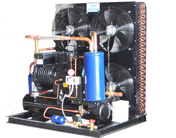 CA-0500 Air Cooled Condensing Unit Compact Structure Stable Operation Low Vibration