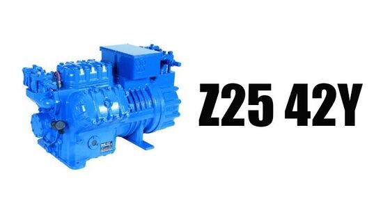 Hot and Good Quality Z25 42Y Ltaly Water Cooled Condensing Unit and Refrigeration Compressor Cold Storage  Easy to Operate