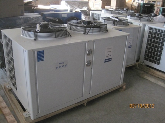 4EES-6Y 6HP Air Cooled Refrigeration Condensing Unit With Compressor